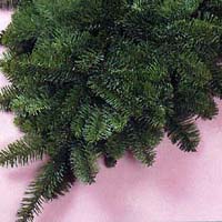 Noble Fir - 3lb