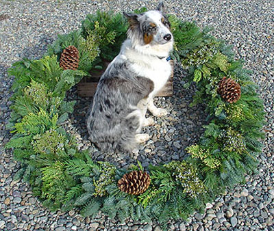 Our Largest Wreaths