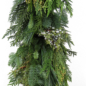 75' Deluxe Greens Mix Fresh Holiday Garland