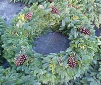 3ft Large Fresh Christmas Wreaths