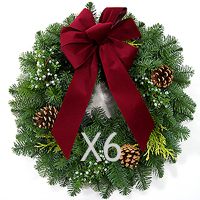 22" Traditional Holiday Wreaths 6 Pack