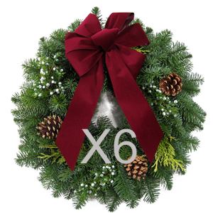 22 Inch Traditional Wreath 6pk