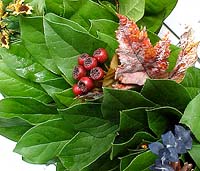 26" Fall Salal Wreath